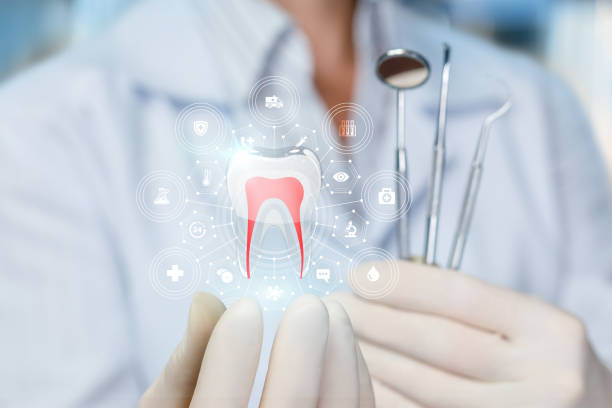 Why Choose Us for Your Dental Needs in Thonotosassa, FL