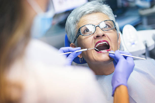 Best Root Canal Treatment  in Thonotosassa, FL